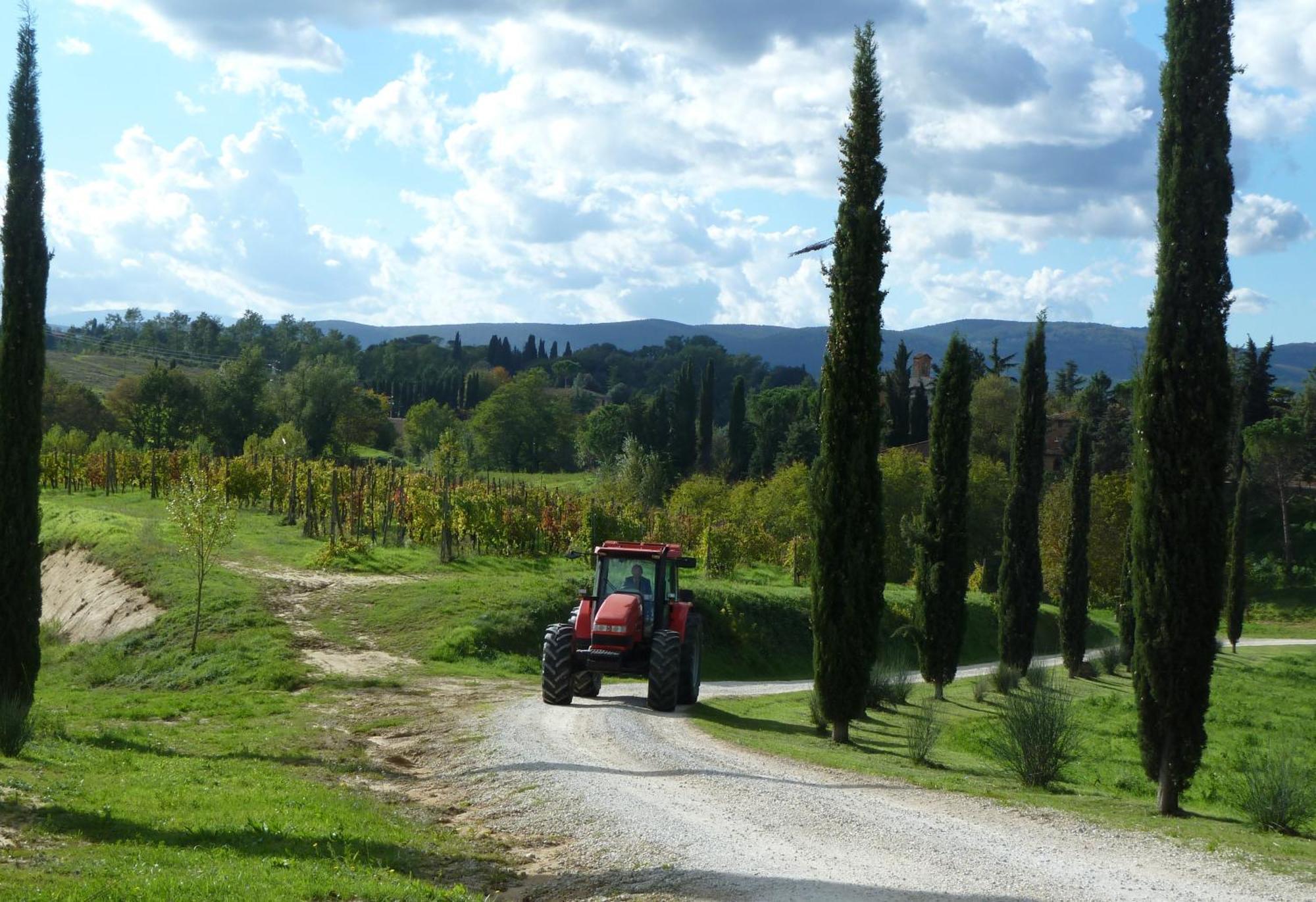 Agriturismo La Grotta Di Montecchino Siena Eksteriør bilde