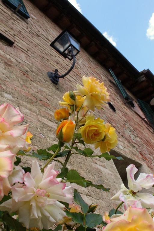 Agriturismo La Grotta Di Montecchino Siena Eksteriør bilde